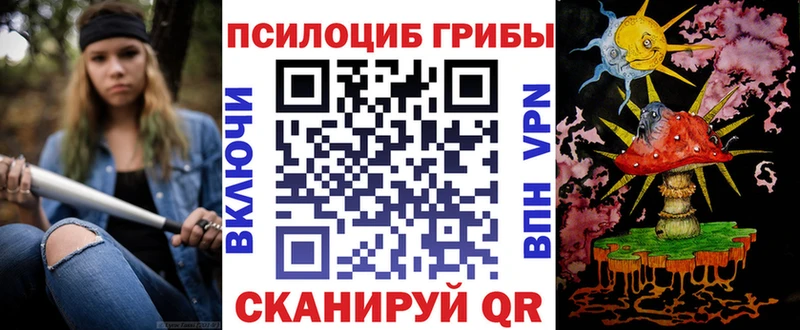 MEGA ССЫЛКА Вышний Волочёк Псилоцибиновые грибы Psilocybine cubensis