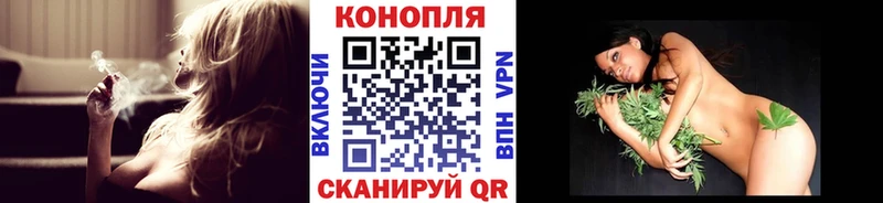 Бошки Шишки планчик Вышний Волочёк